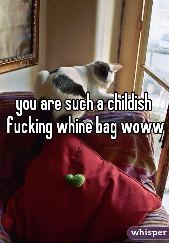 you are such a childish fucking whine bag wowww