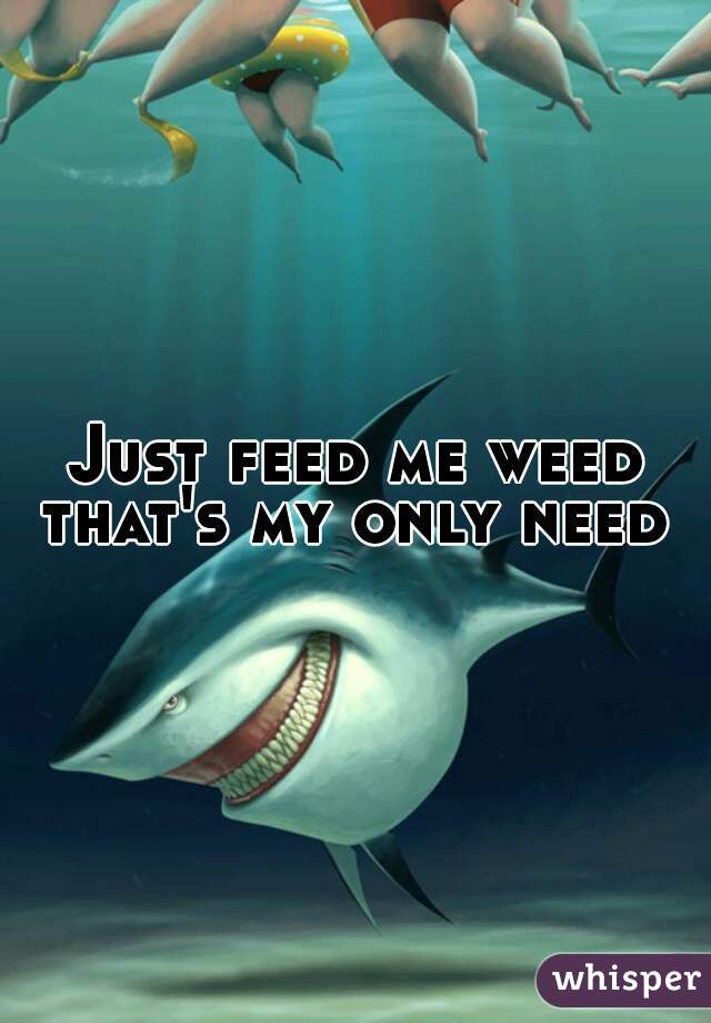 Just feed me weed that's my only need 