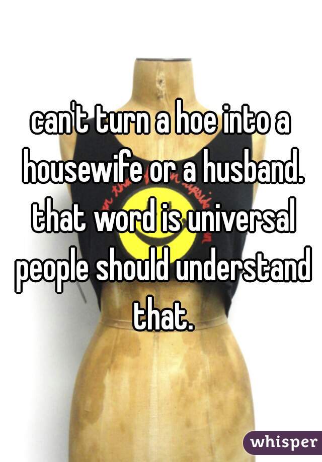 can't turn a hoe into a housewife or a husband. that word is universal people should understand that.