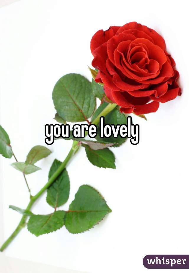 you are lovely 