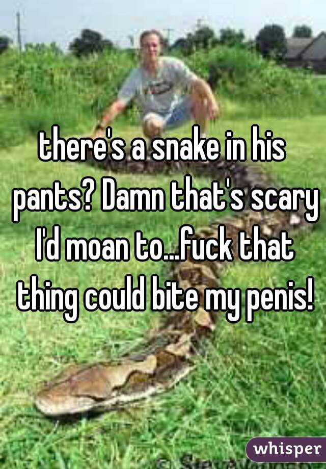 there's a snake in his pants? Damn that's scary I'd moan to...fuck that thing could bite my penis!