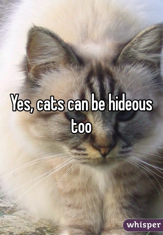 Yes, cats can be hideous too 