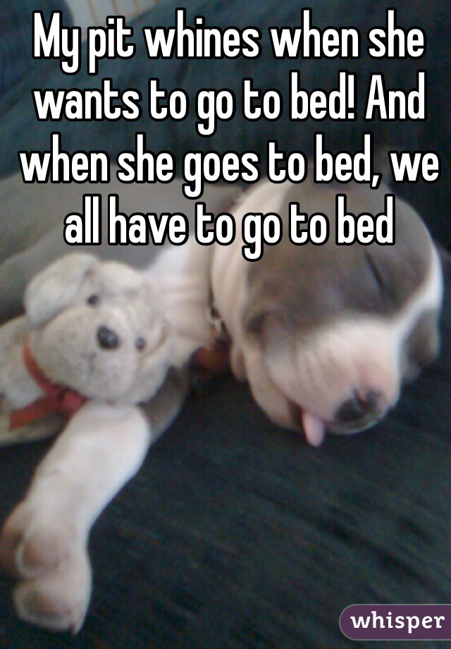 My pit whines when she wants to go to bed! And when she goes to bed, we all have to go to bed 