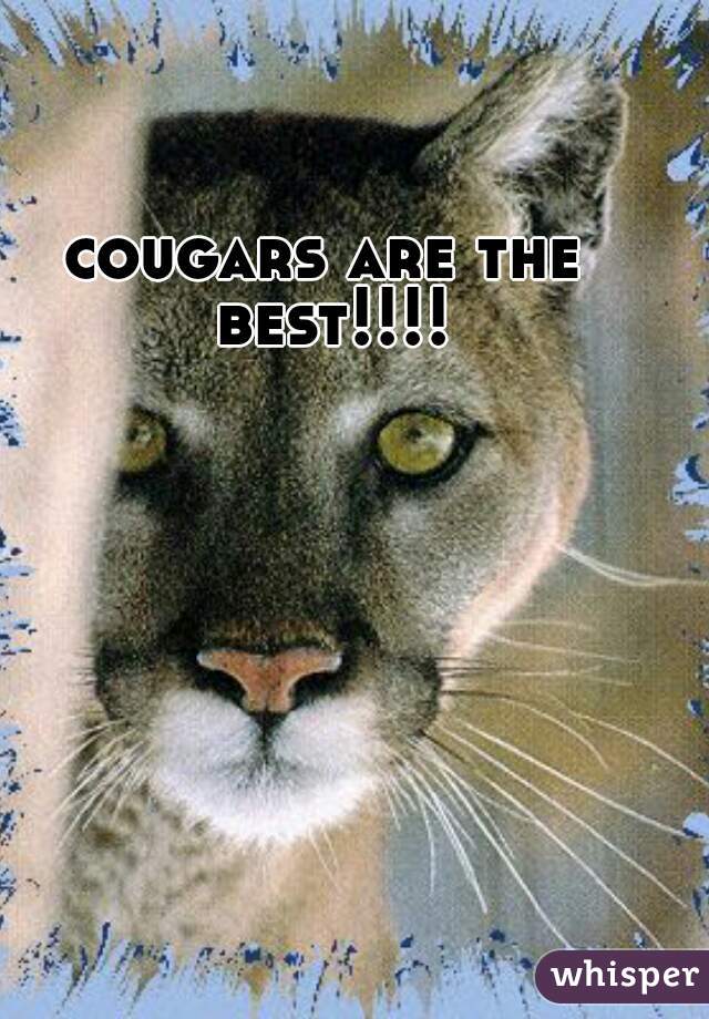 cougars are the best!!!!