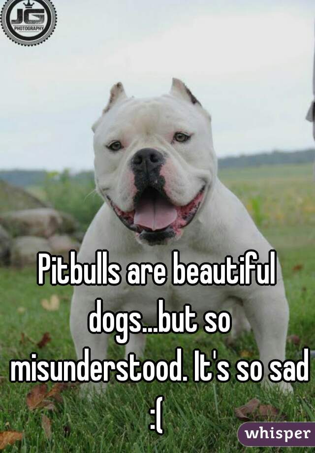 Pitbulls are beautiful dogs...but so misunderstood. It's so sad :( 