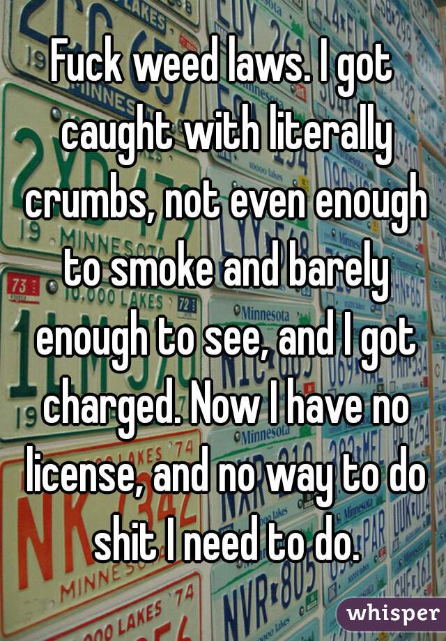 Fuck weed laws. I got caught with literally crumbs, not even enough to smoke and barely enough to see, and I got charged. Now I have no license, and no way to do shit I need to do.