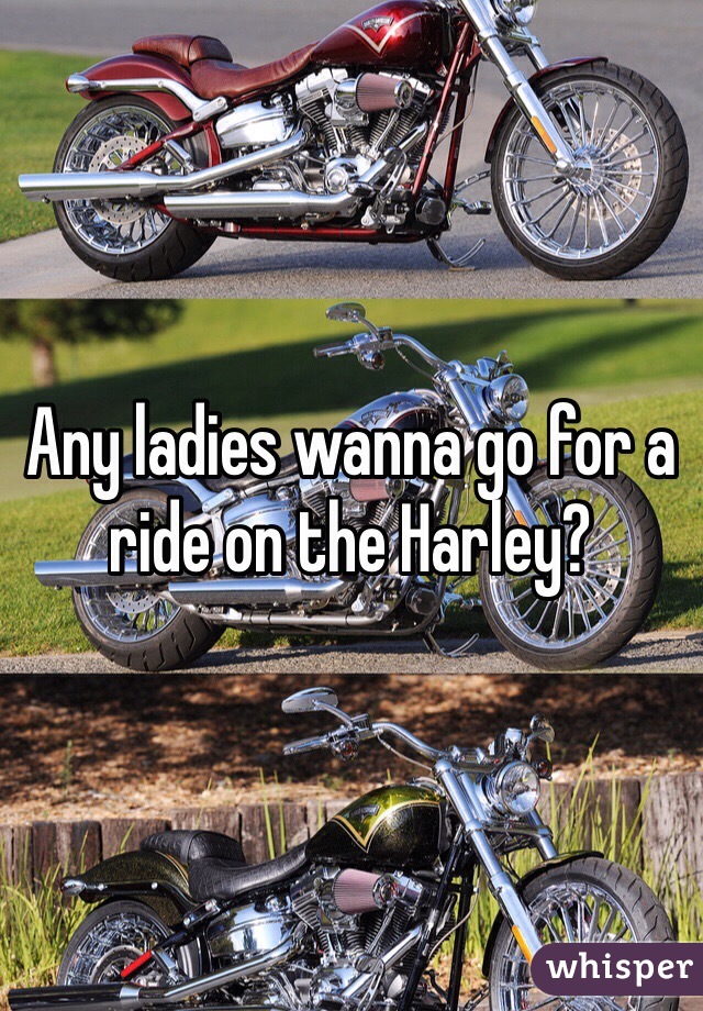 Any ladies wanna go for a ride on the Harley?