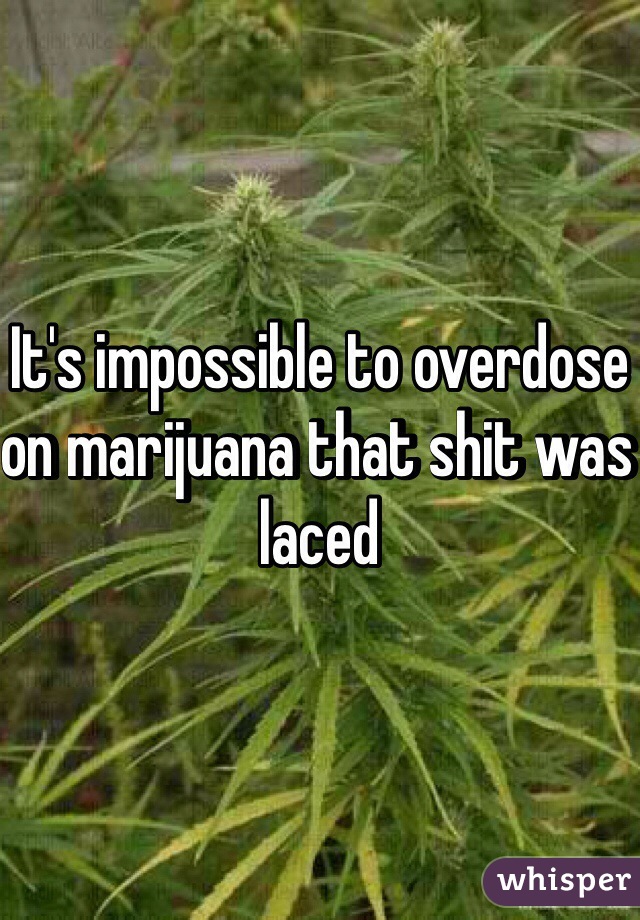 It's impossible to overdose on marijuana that shit was laced