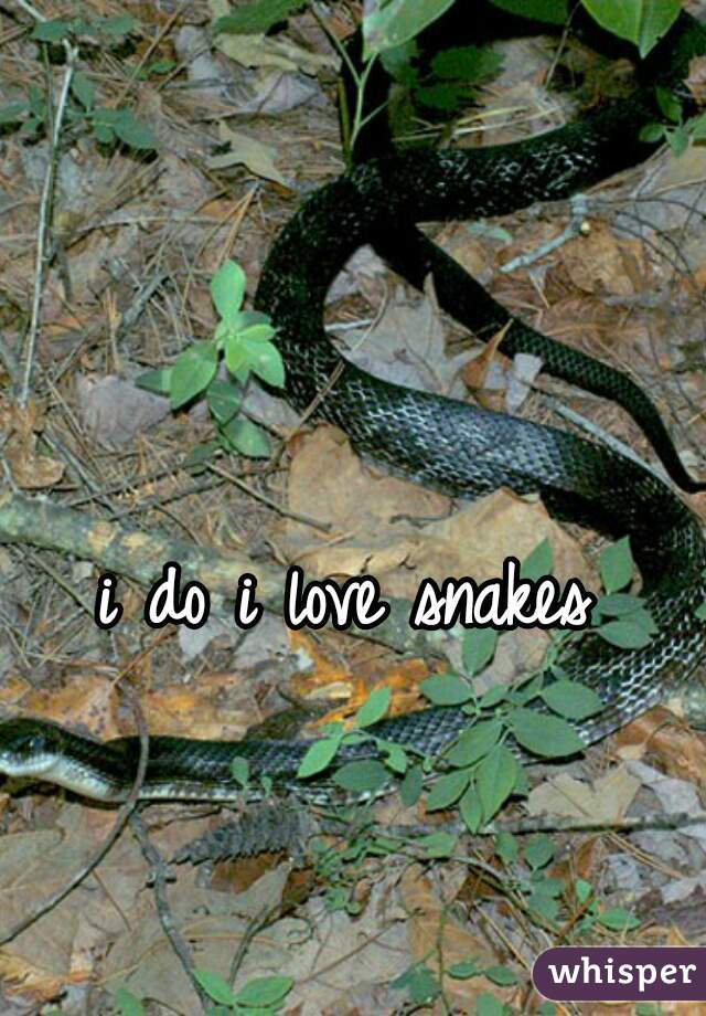 i do i love snakes 
