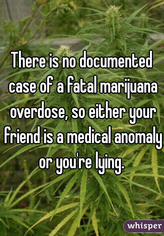 There is no documented case of a fatal marijuana overdose, so either your friend is a medical anomaly or you're lying. 