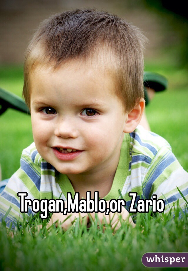 Trogan,Mablo,or Zario