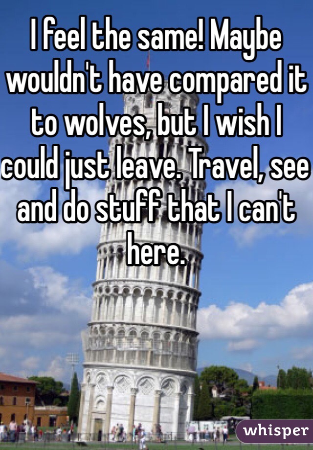I feel the same! Maybe wouldn't have compared it to wolves, but I wish I could just leave. Travel, see and do stuff that I can't here. 