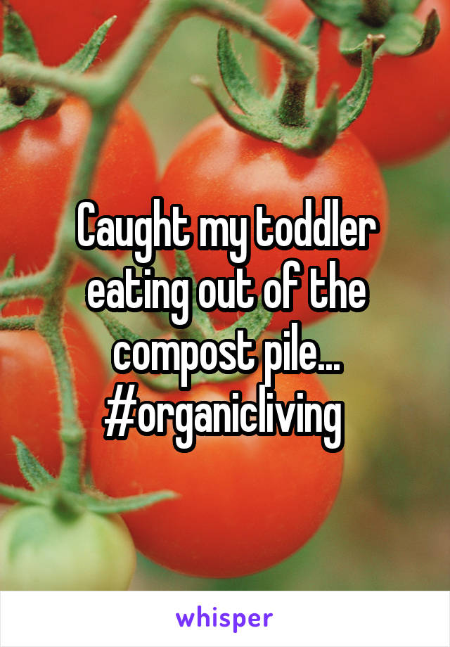 Caught my toddler eating out of the compost pile...
#organicliving 