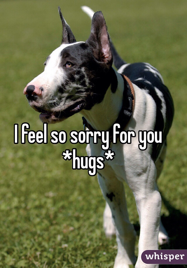 I feel so sorry for you *hugs*