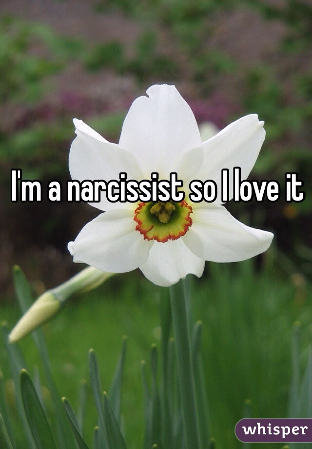I'm a narcissist so I love it 