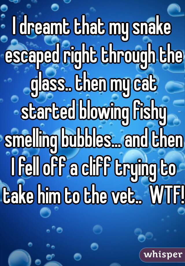 I dreamt that my snake escaped right through the glass.. then my cat started blowing fishy smelling bubbles... and then I fell off a cliff trying to take him to the vet..  WTF!  