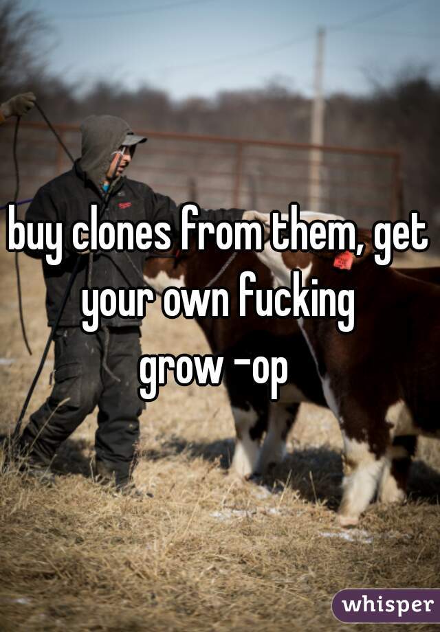 buy clones from them, get your own fucking 
grow -op 