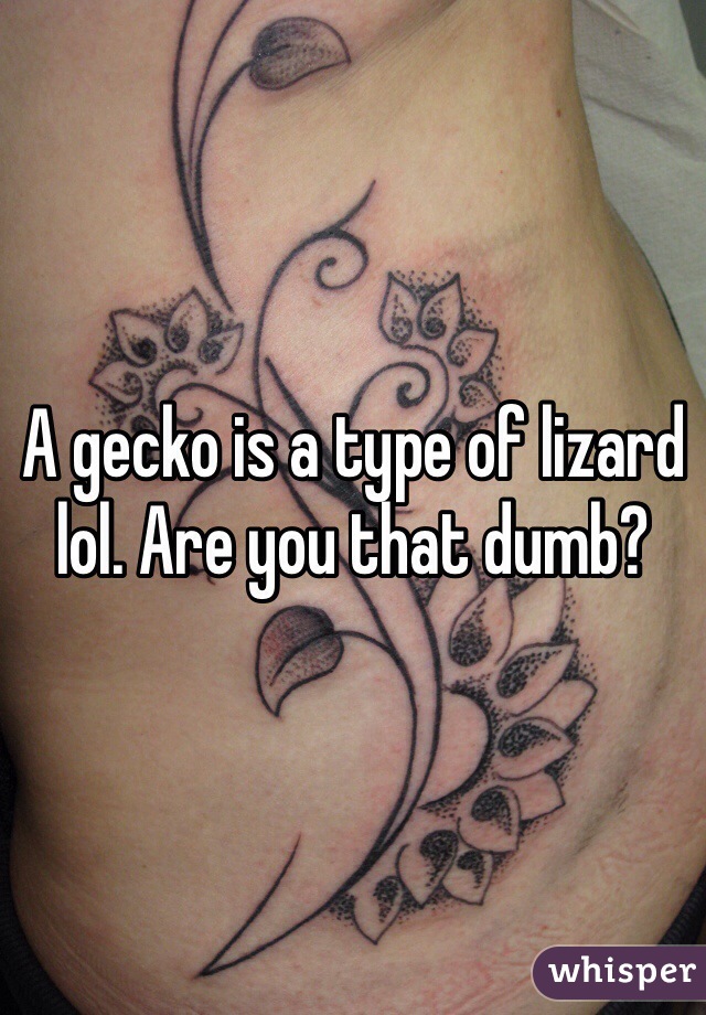A gecko is a type of lizard lol. Are you that dumb?