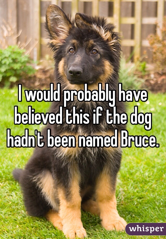 I would probably have believed this if the dog hadn't been named Bruce. 