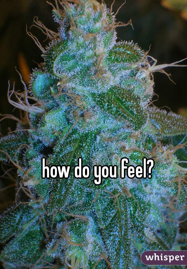 how do you feel?