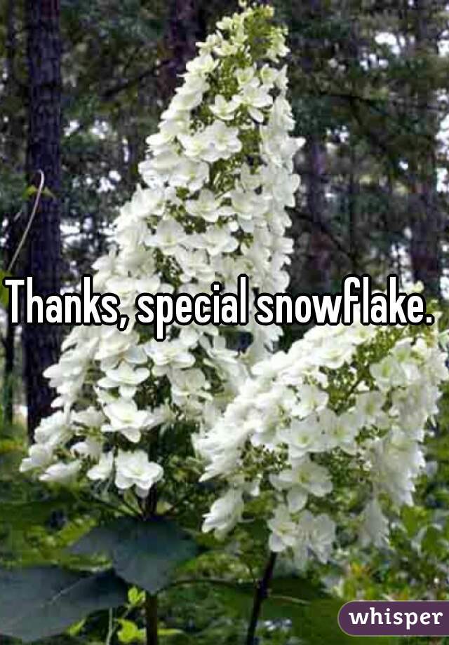 Thanks, special snowflake. 