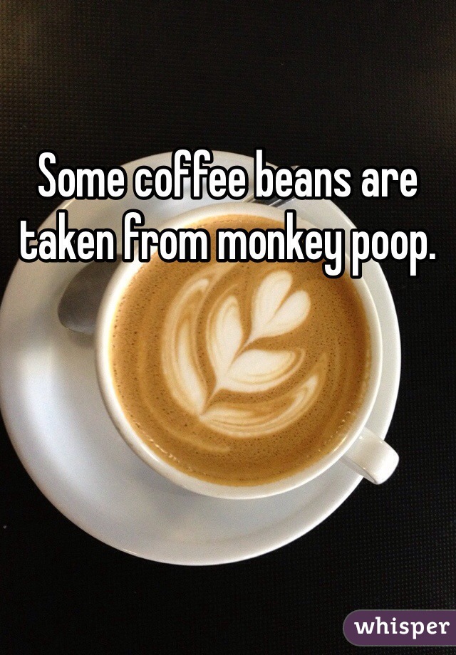 Some coffee beans are taken from monkey poop.