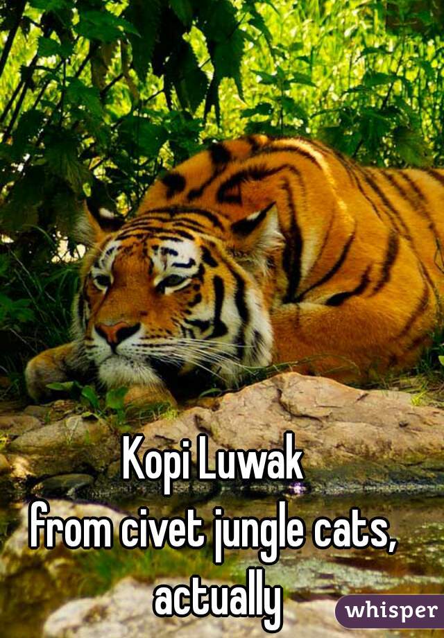 Kopi Luwak
from civet jungle cats, actually