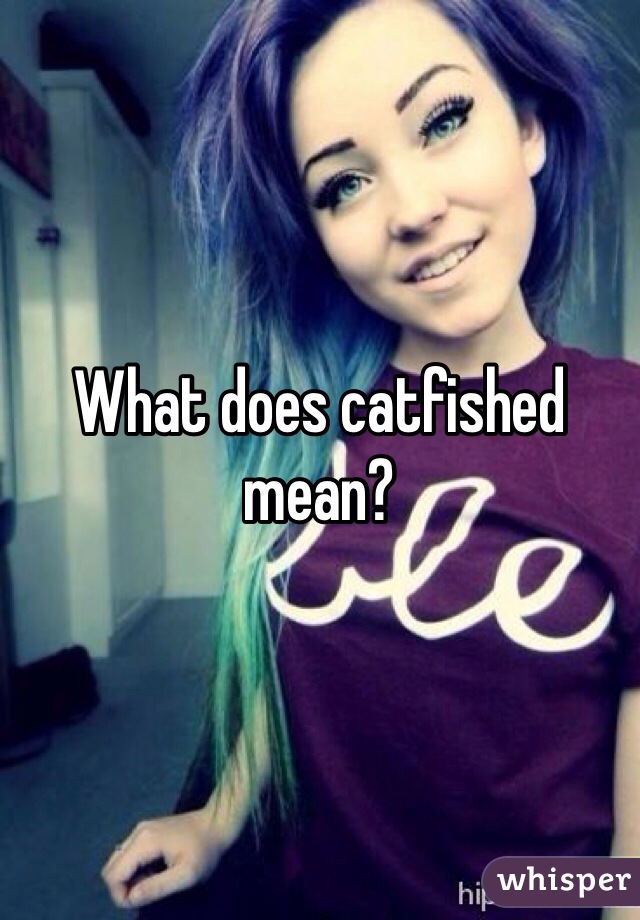 What does catfished mean?