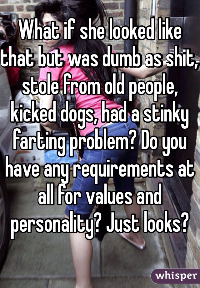 What if she looked like that but was dumb as shit, stole from old people, kicked dogs, had a stinky farting problem? Do you have any requirements at all for values and personality? Just looks?