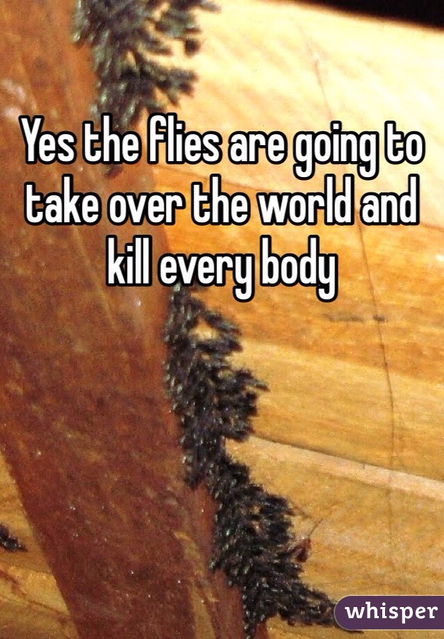 Yes the flies are going to take over the world and kill every body 