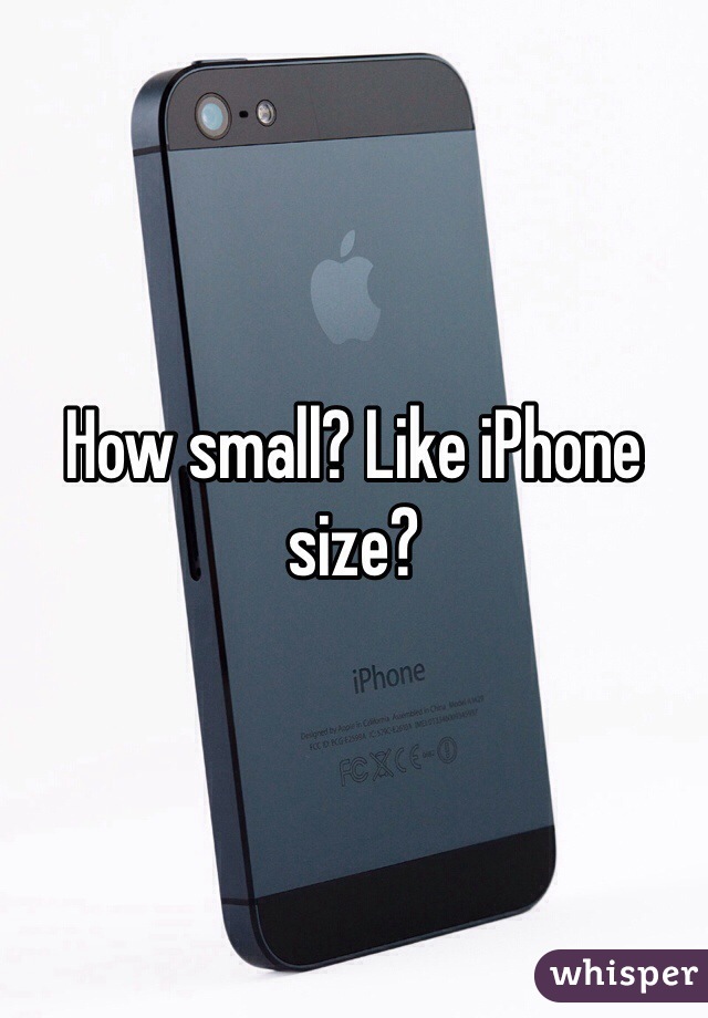 How small? Like iPhone size? 