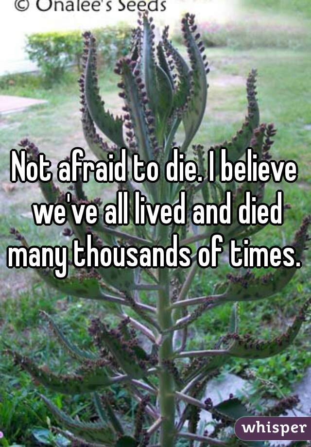 Not afraid to die. I believe we've all lived and died many thousands of times. 