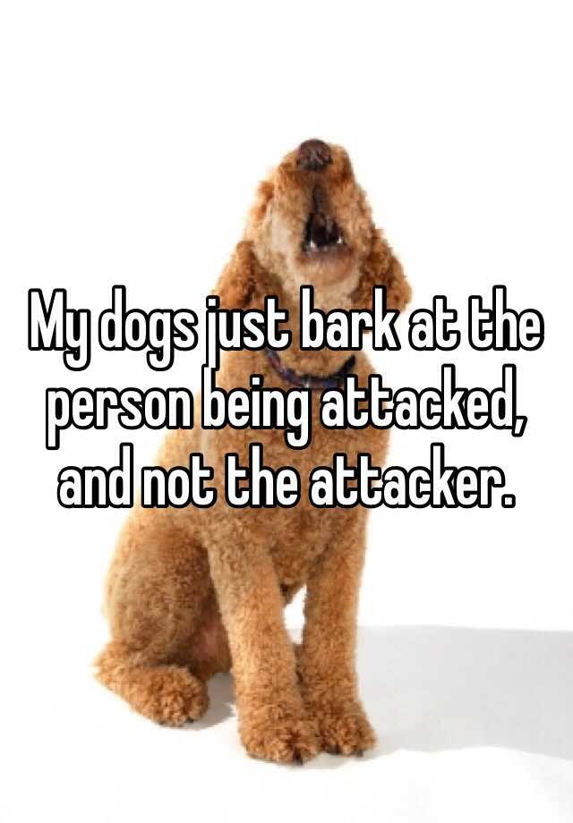 my-dogs-just-bark-at-the-person-being-attacked-and-not-the-attacker