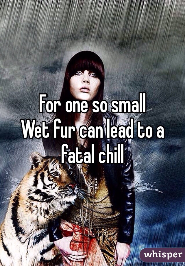 For one so small
Wet fur can lead to a fatal chill