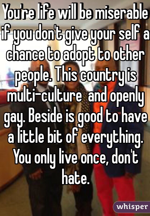 You're life will be miserable if you don't give your self a chance to adopt to other people. This country is multi-culture  and openly gay. Beside is good to have a little bit of everything. You only live once, don't hate.
