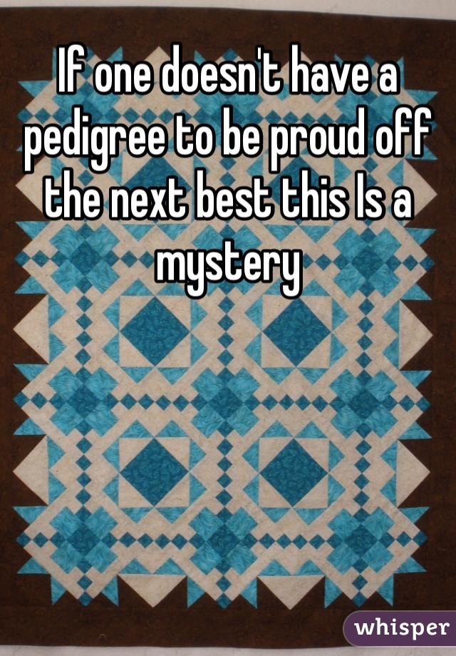 If one doesn't have a pedigree to be proud off the next best this Is a mystery 