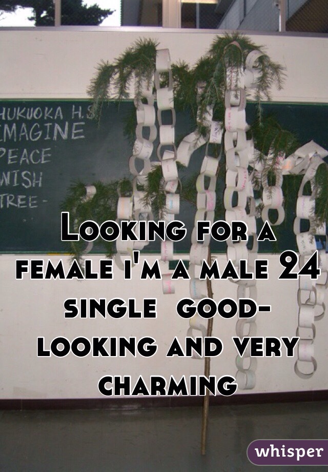 Looking for a female i'm a male 24 single  good-looking and very charming