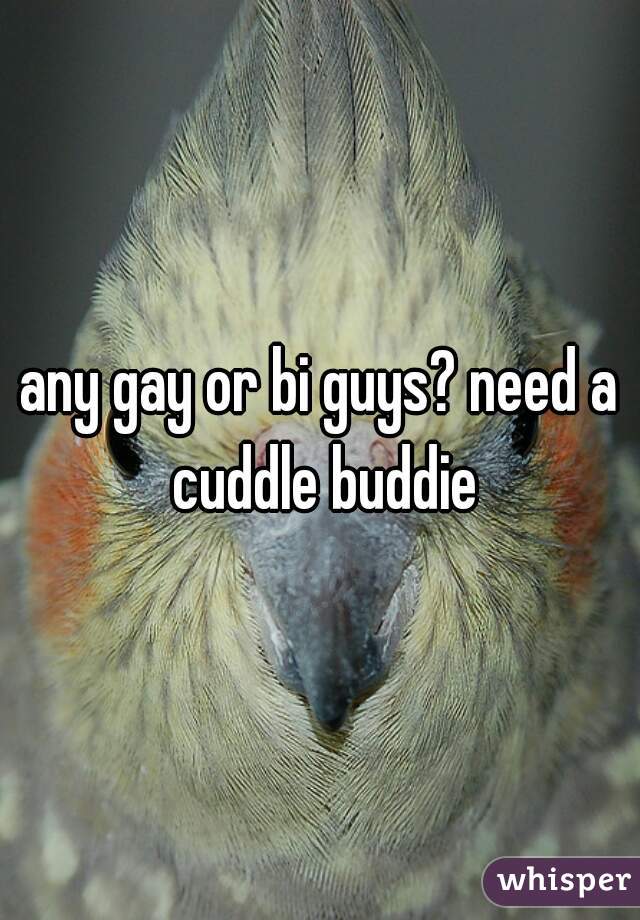 any gay or bi guys? need a cuddle buddie