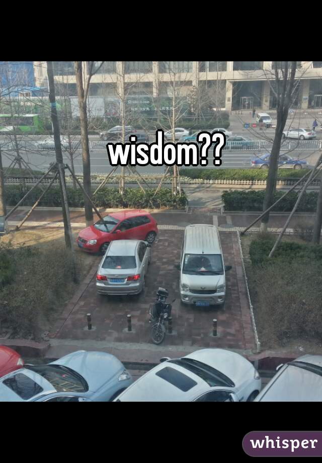 wisdom??