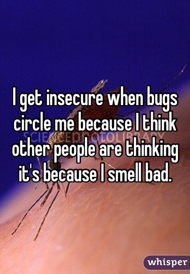 I get insecure when bugs circle me because I think other people are thinking it's because I smell bad. 