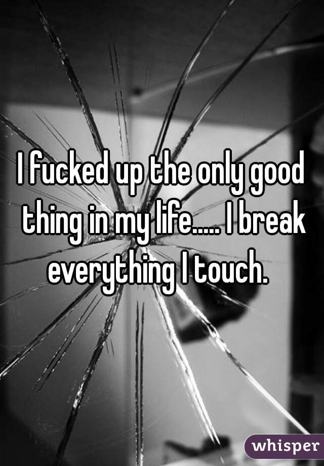 I fucked up the only good thing in my life..... I break everything I touch.  