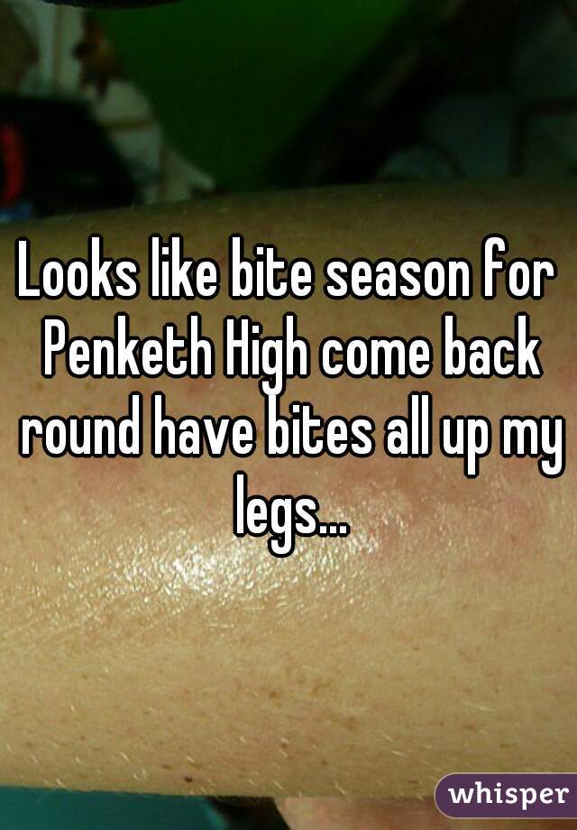 Looks like bite season for Penketh High come back round have bites all up my legs...