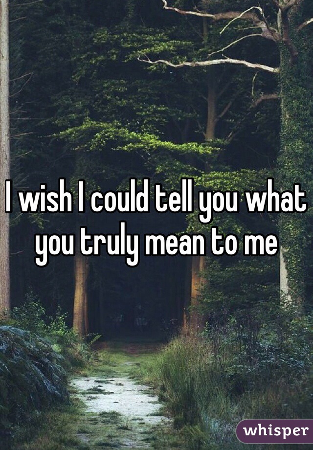 I wish I could tell you what you truly mean to me