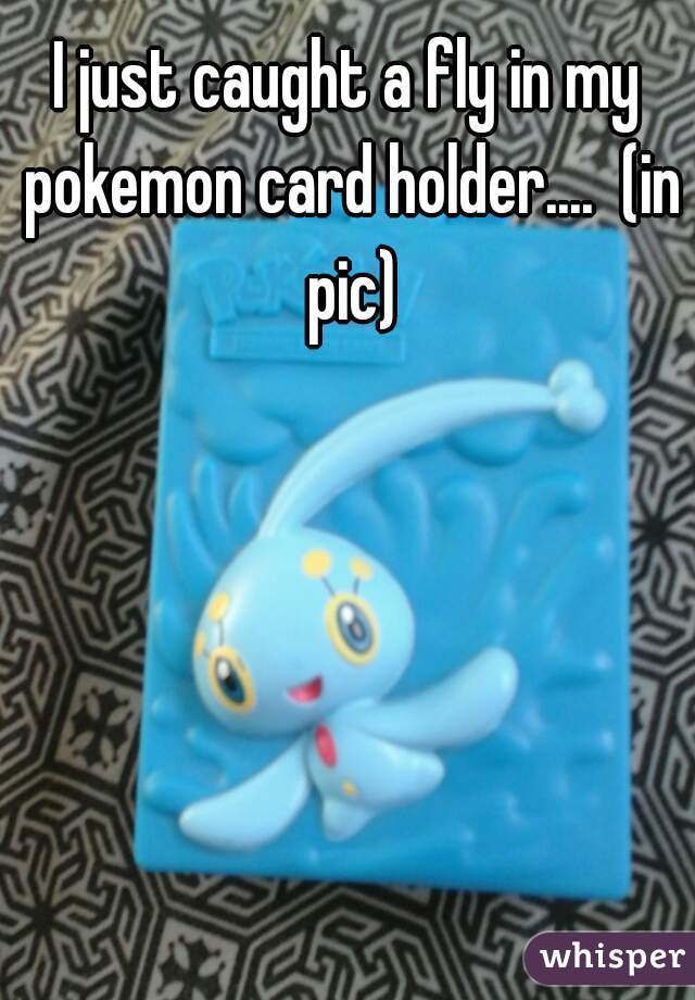 I just caught a fly in my pokemon card holder....  (in pic)