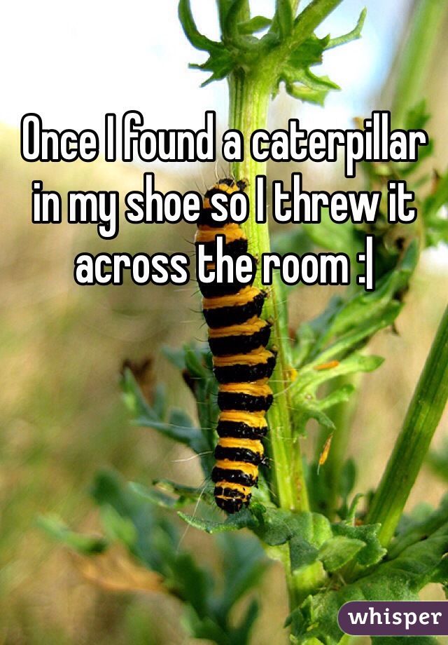 Once I found a caterpillar in my shoe so I threw it across the room :|