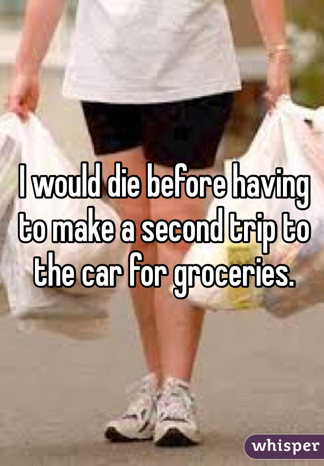 I would die before having to make a second trip to the car for groceries.