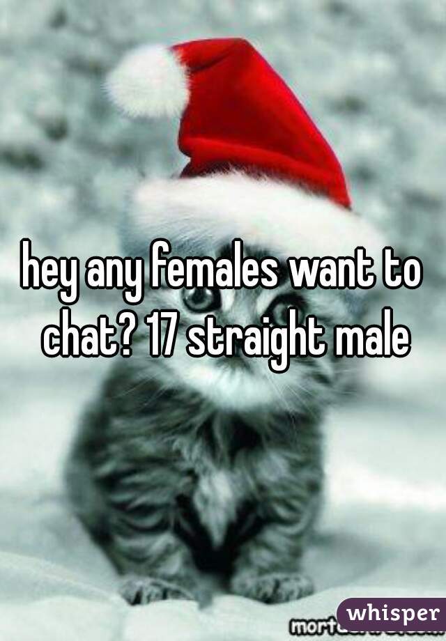 hey any females want to chat? 17 straight male