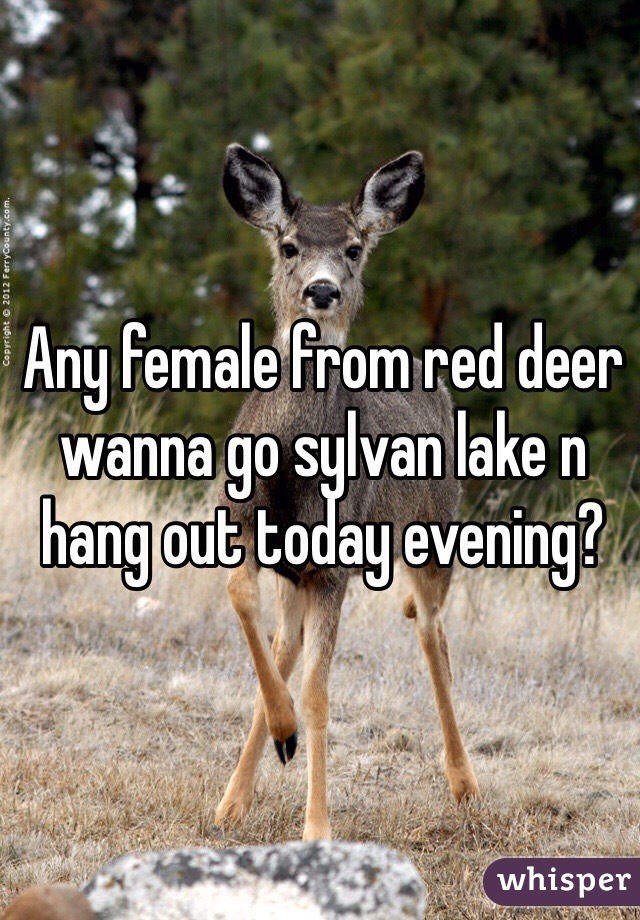 Any female from red deer wanna go sylvan lake n hang out today evening?
