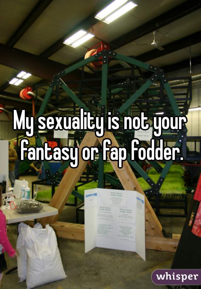 My sexuality is not your fantasy or fap fodder.