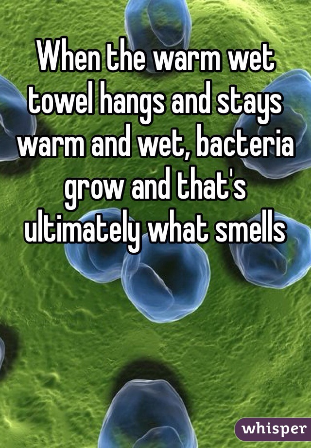 When the warm wet towel hangs and stays warm and wet, bacteria grow and that's ultimately what smells 